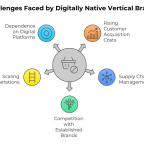 What Luxury Brands Can Learn from DNVBs: Strategies for Digital Success