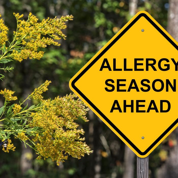 Allergy Season Is Here Earlier Than Ever — Here’s What’s Actually Going On and How to Feel Better