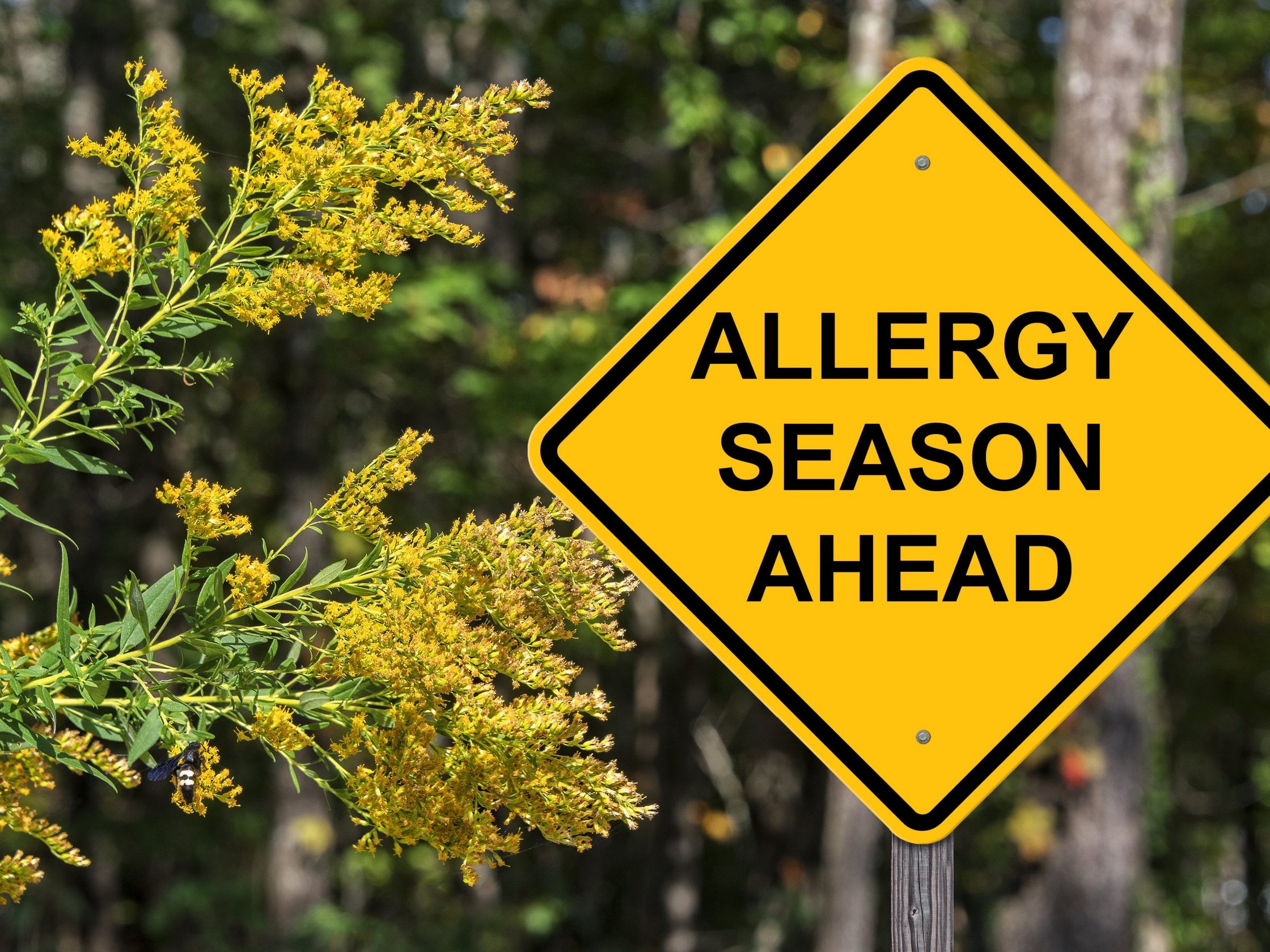 allergy-season-is-here-earlier-than-ever-heres-whats-actually-going-on-and-how-to-feel-better