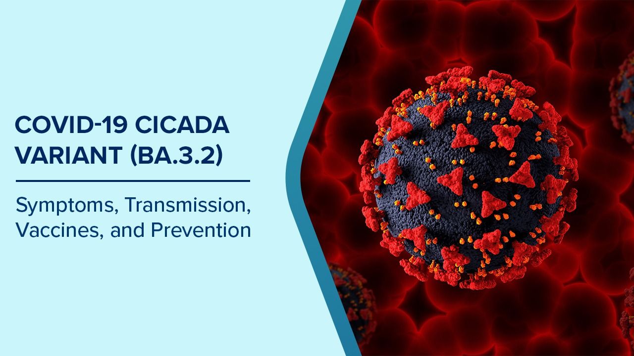 meet-cicada-the-covid-19-variant-that-disappeared-and-just-came-back