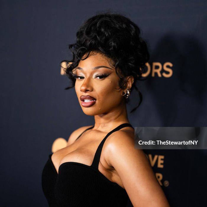Fans Shocked as Megan Thee Stallion Falls ‘Severely Ill’ Mid-Performance, Rushed to Hospital