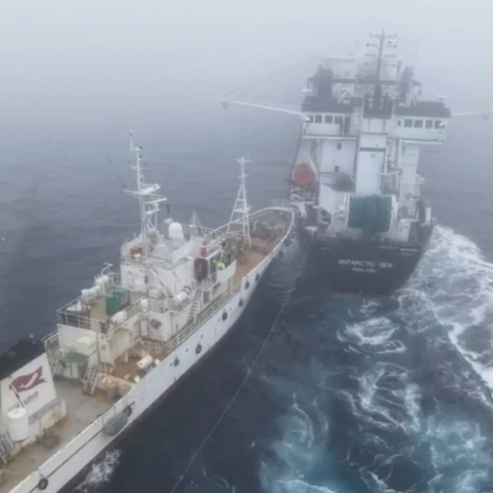 An Activist Ship Rammed a Krill Trawler Off Antarctica — and the Fight Over What Happens Next Is Just Getting Started