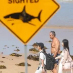 Australia Shark Attack Claims Second Fatal Victim