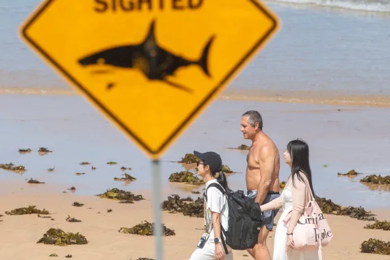 Australia Shark Attack Claims Second Fatal Victim of 2026 Off Western Australia