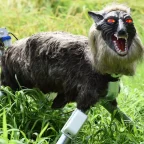 'Monster Wolf' Robots in High Demand