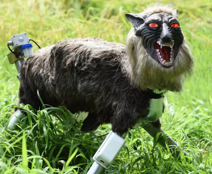 ‘Monster Wolf’ Robots in High Demand as Japan Battles Record Bear Attacks