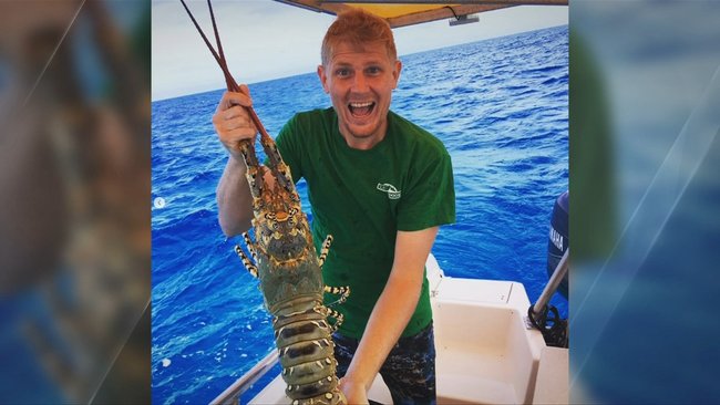 Spearfisher Killed in Great Barrier Reef Shark Attack: Australia’s Second Fatal Encounter in Just Over a Week