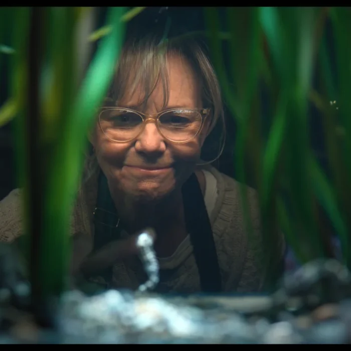 Remarkably Bright Creatures Review: A Heartfelt Cast Can’t Save This Sluggish Adaptation