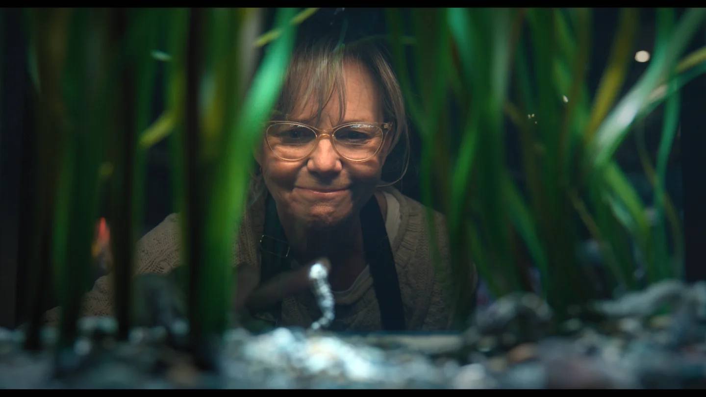 remarkably-bright-creatures-review-a-heartfelt-cast-cant-save-this-sluggish-adaptation