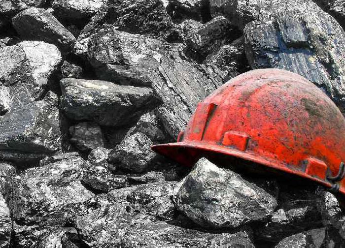 Xi Jinping Demands All-Out Rescue After Deadly Coal Mine Explosion Kills 90 in China