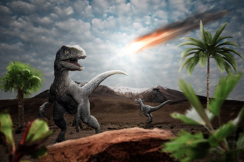 how-animals-survived-the-asteroid-that-killed-the-dinosaurs-secrets-of-survival-66-million-years-ago