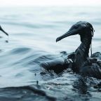 Iran Oil Spill Blame Game and Pentagon's $29 Billion Cost of War Revealed 8 Iran Oil Spill Blame Game