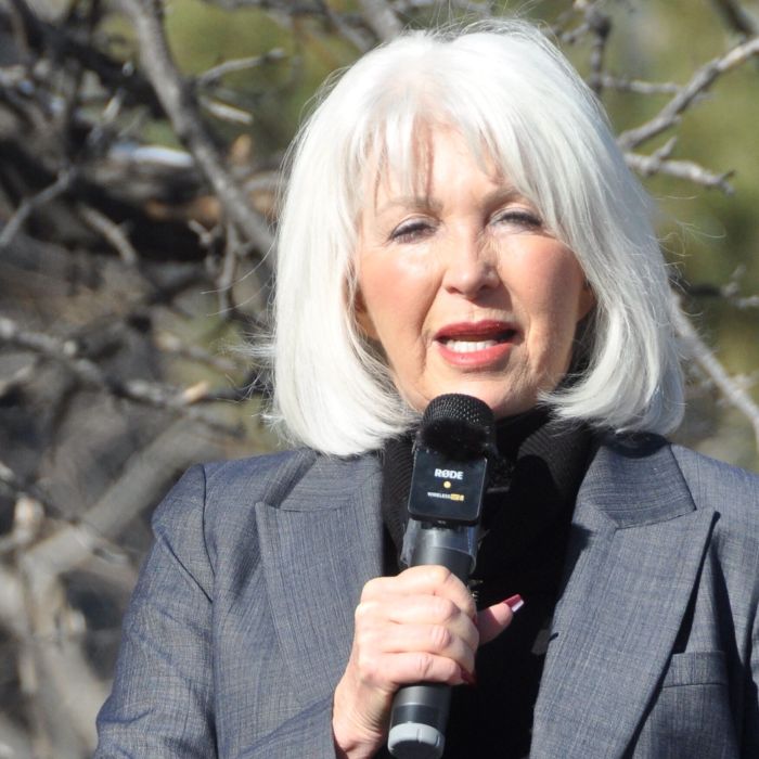 Tina Peters Clemency: Colorado Governor Grants Early Release to 2020 Election Denier