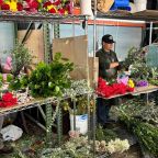 Mother's Day Flower Prices Rise as Fuel Costs and Tariffs
