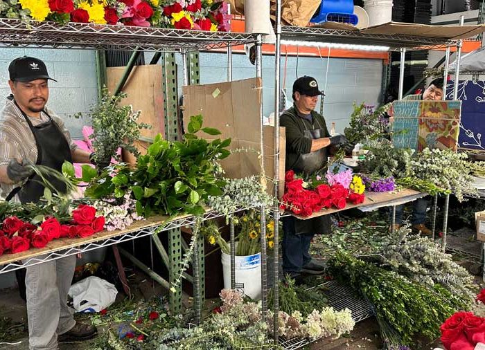 Mother’s Day Flower Prices Rise as Fuel Costs and Tariffs Hit the Floral Industry