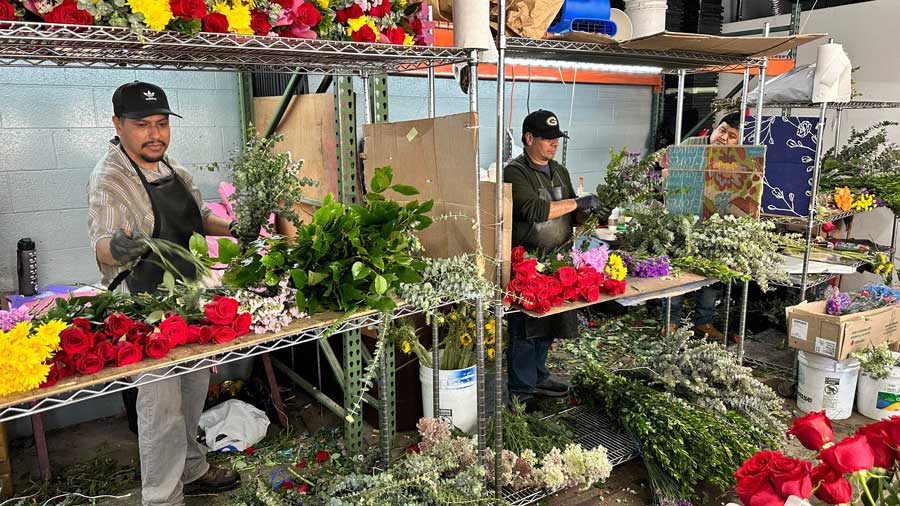 mothers-day-flower-prices-rise-as-fuel-costs-and-tariffs-hit-the-floral-industry