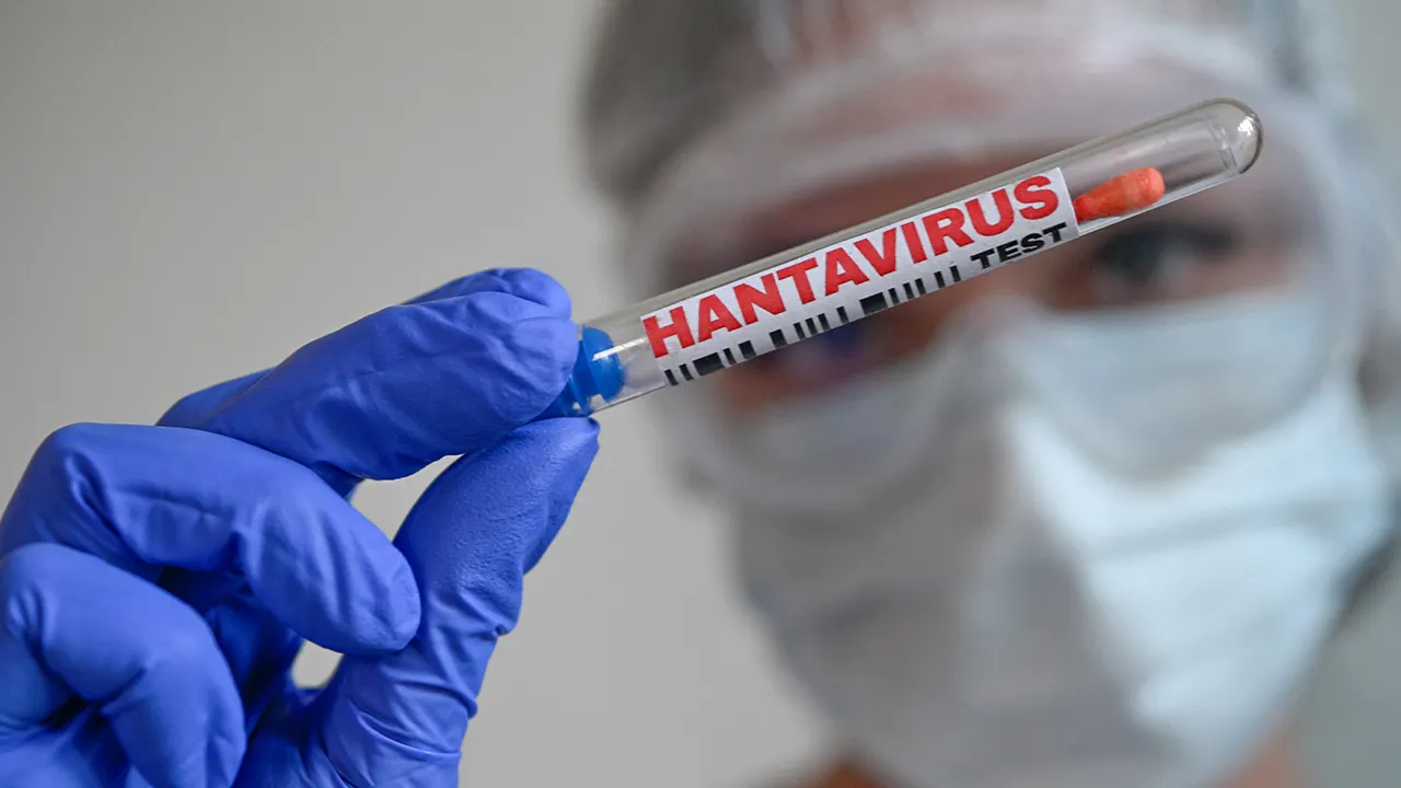 minnesota-resident-possibly-exposed-to-hantavirus-after-contact-with-cruise-ship-passenger
