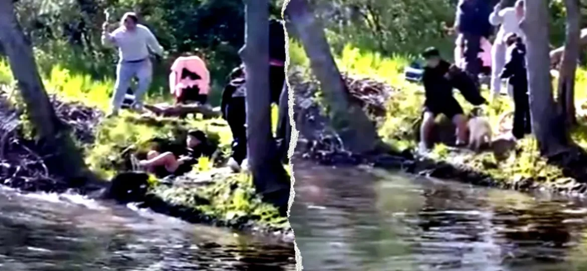 Rabid Beaver Attacks 8-Year-Old Boy Fishing