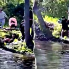 Rabid Beaver Attacks 8-Year-Old Boy Fishing