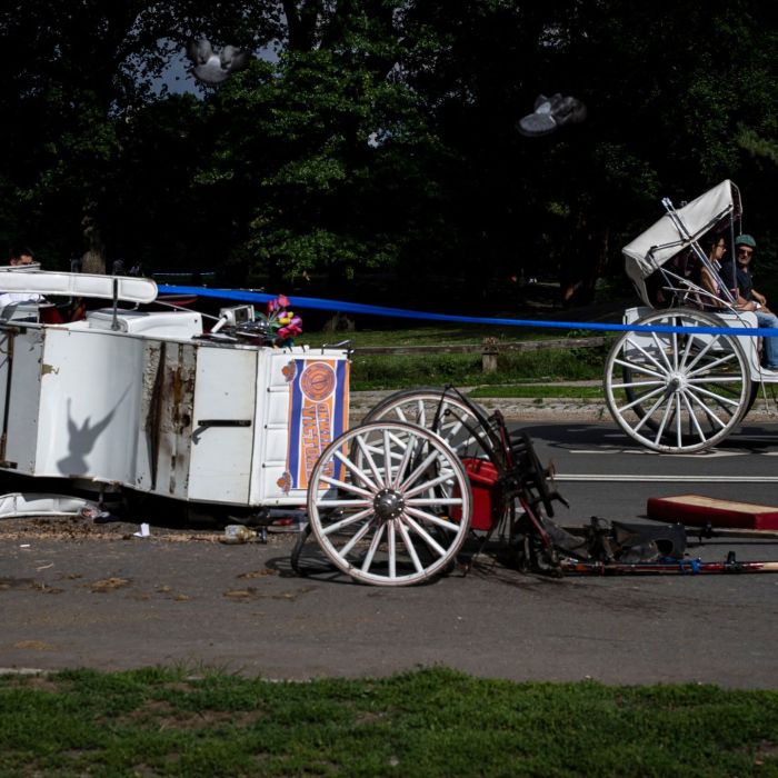 Central Park Carriage Rides Halted After Teen Tourist Killed in Tragic Accident
