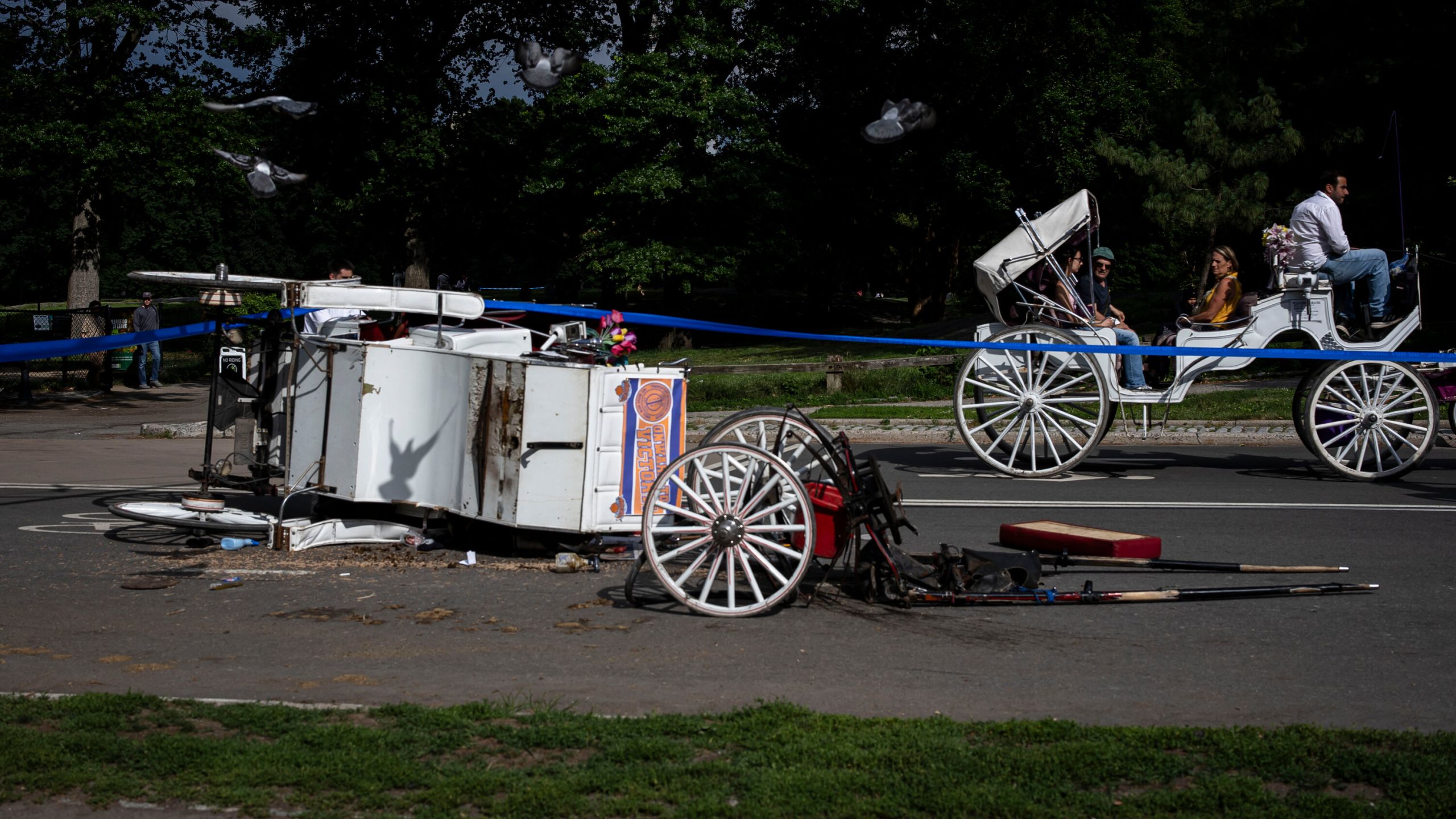 central-park-carriage-rides-halted-after-teen-tourist-killed-in-tragic-accident