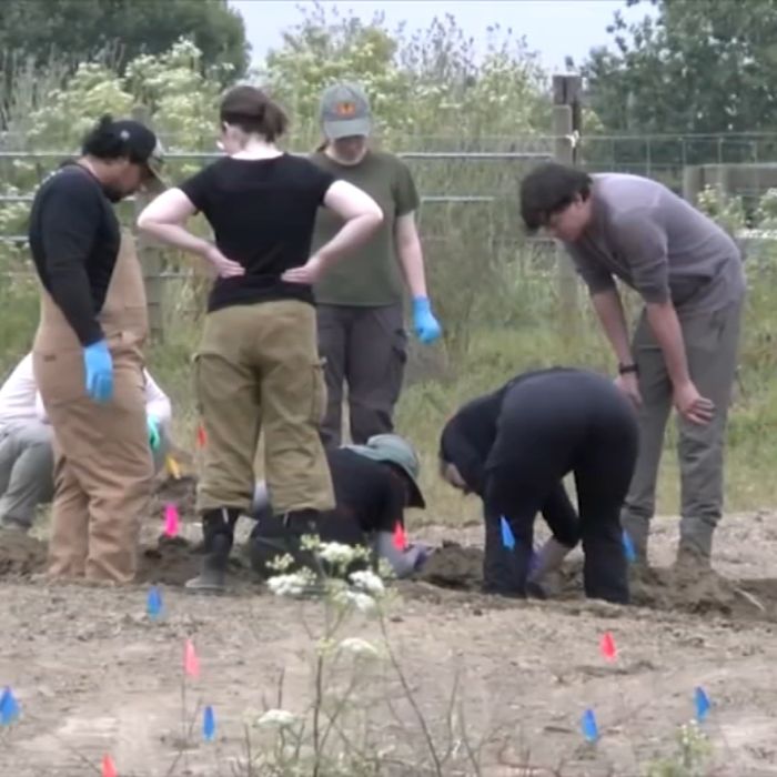 Investigators Uncover 117 Dog Carcasses and Hundreds of Bones at California Animal Rescue