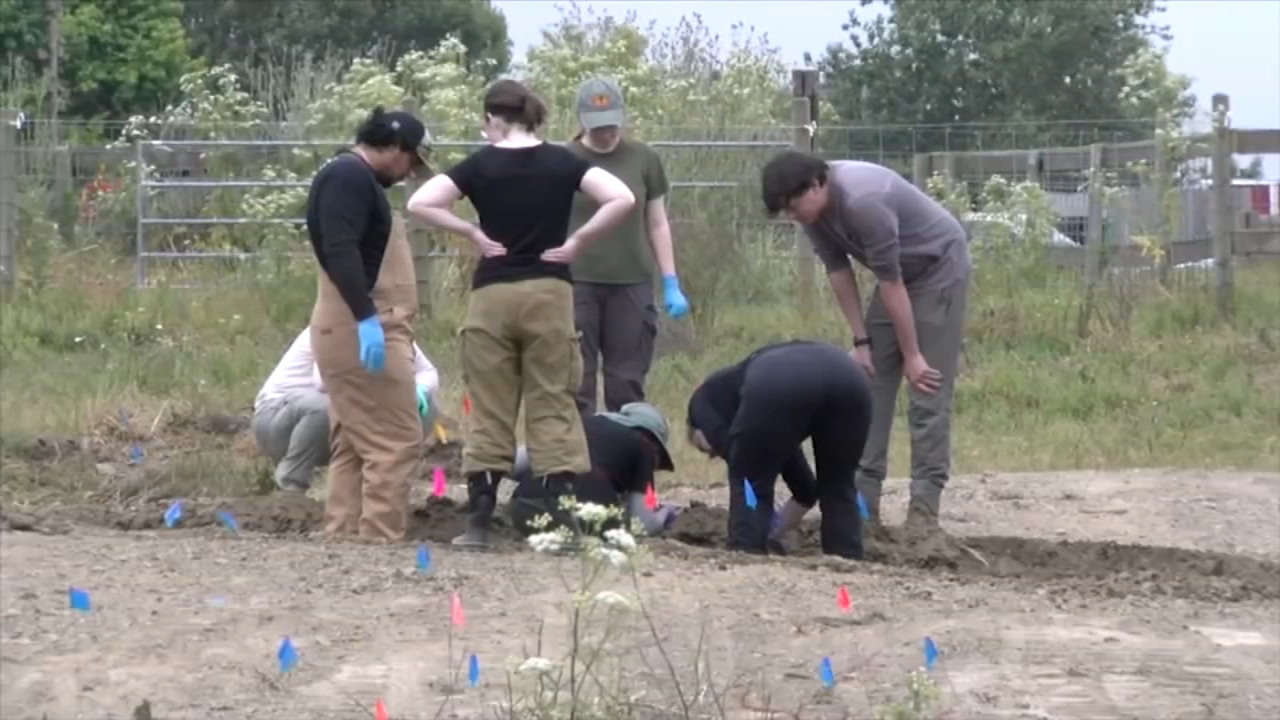 investigators-uncover-117-dog-carcasses-and-hundreds-of-bones-at-california-animal-rescue