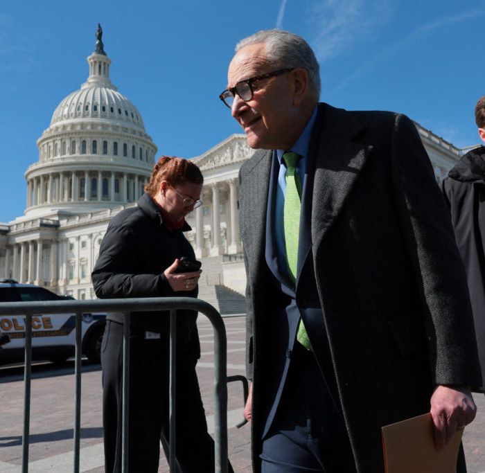 Democratic Leaders Push Moderation, but the Party’s Base Is Charging Left