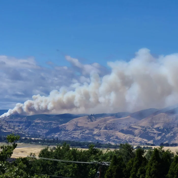 Wildfire Forces “Go Now” Evacuation in Lyle, Washington