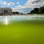 Trump's "American Flag Blue" Reflecting Pool