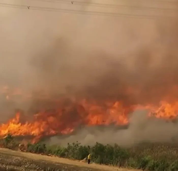 Air Quality Alert Hits Miami-Dade and Broward Counties as Wildfire Smoke Spreads