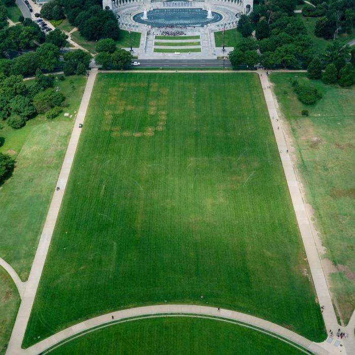Mysterious ’86 47′ Stains Vandalize National Mall Grass Days Before Trump’s Birthday Event