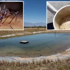 West Nile Virus Detected in California