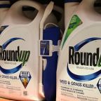 Supreme Court Sides With Bayer in Roundup Case
