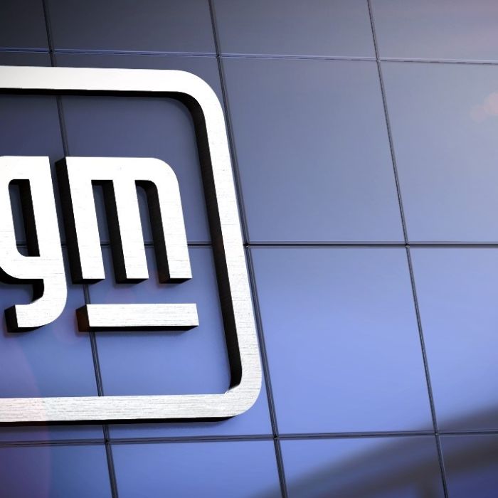 GM Bets on Energy Storage Batteries as EV Sales Slow Down