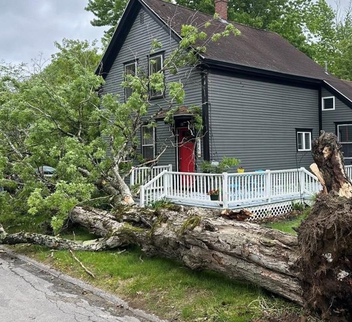 Severe Thunderstorms Sweep Through Maine, Downing Trees and Knocking Out Power