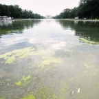 Trump's $14 Million 'American Flag Blue' Reflecting Pool