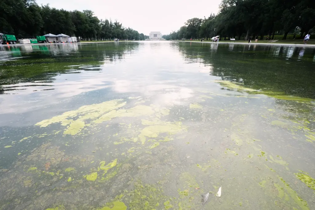 trumps-14-million-american-flag-blue-reflecting-pool-turns-green-with-algae-days-after-reopening