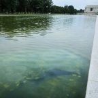 Can a High-Tech Nanobubbler Finally Clean the Lincoln Memorial Reflecting Pool? 8 High-Tech Nanobubbler Finally Clean the Lincoln Memorial