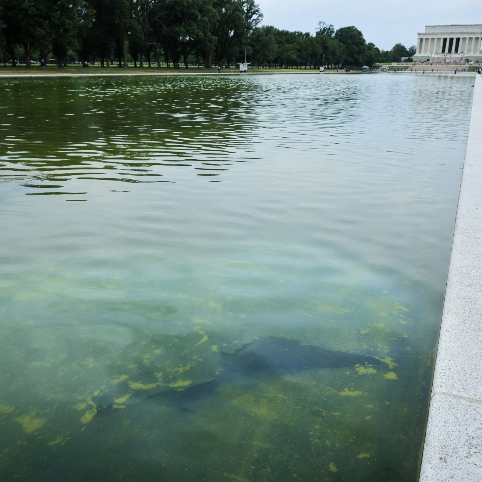 can-a-high-tech-nanobubbler-finally-clean-the-lincoln-memorial-reflecting-pool