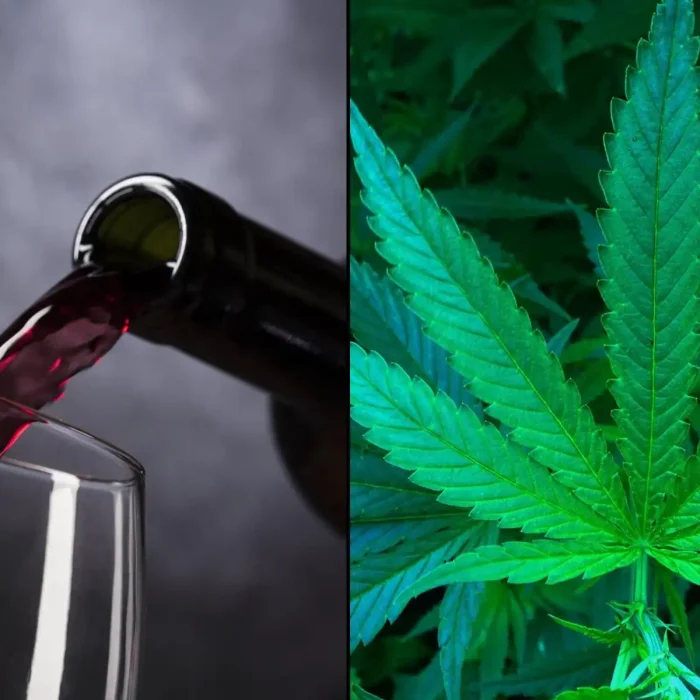 DEA and FDA Argue Marijuana Is Safer Than Alcohol and Opioids at Rescheduling Hearing