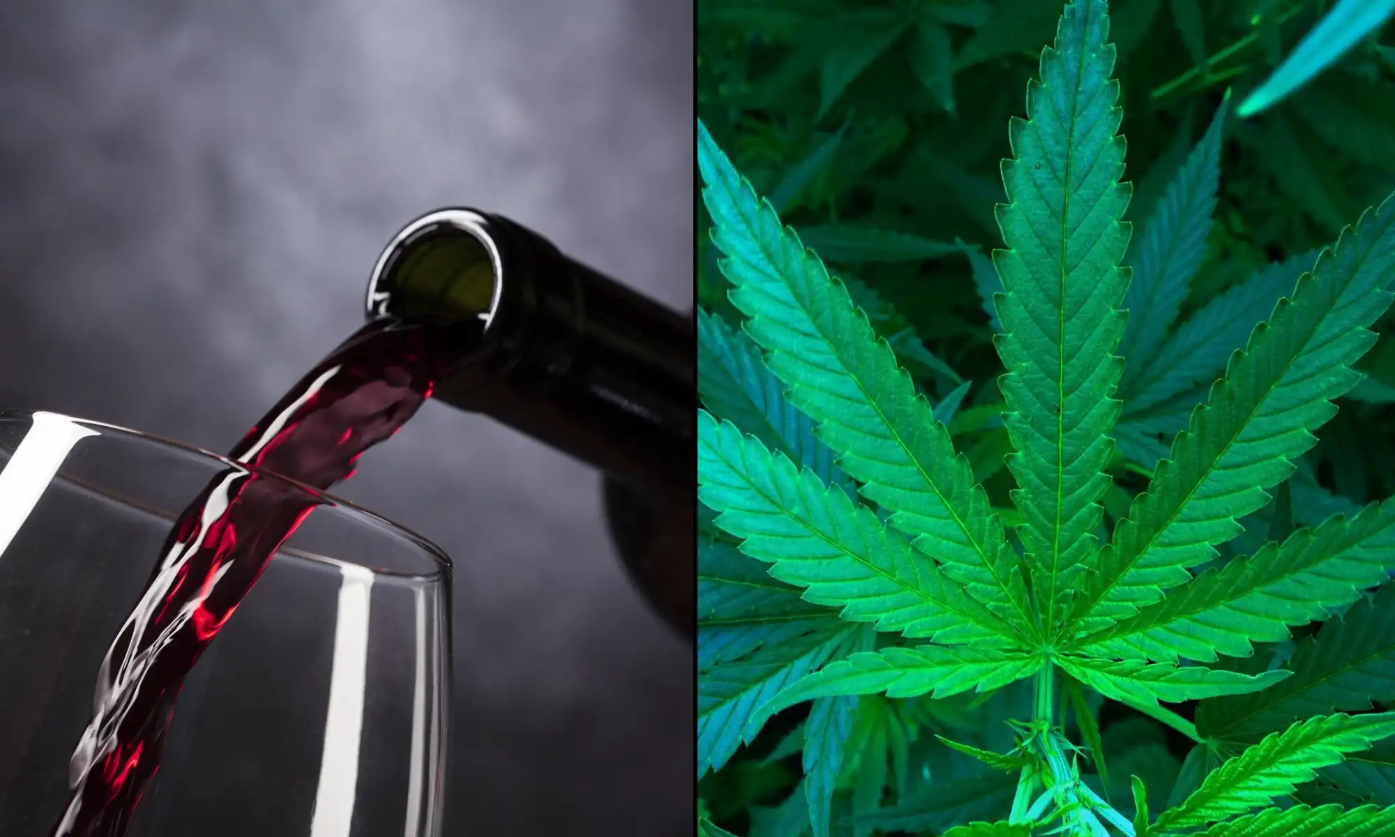 dea-and-fda-argue-marijuana-is-safer-than-alcohol-and-opioids-at-rescheduling-hearing