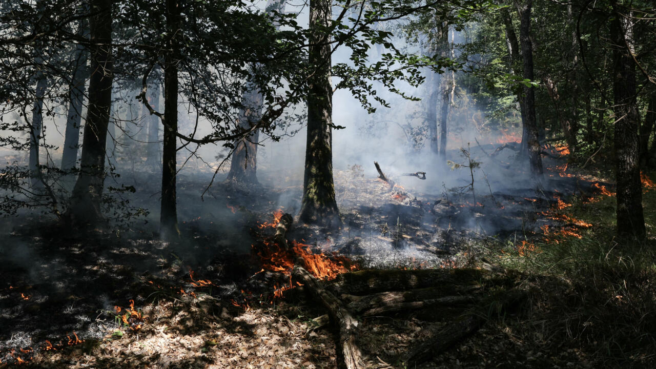 fire-reaches-fontainebleau-forest-outside-paris-as-europe-burns-under-third-heat-wave