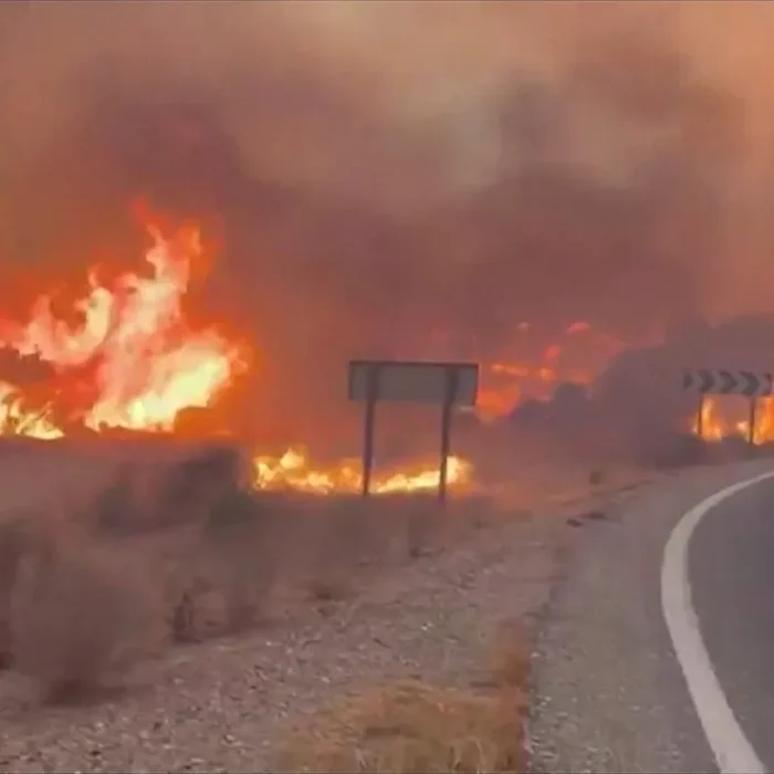 Nobody Told Them the Fire Was Coming”: Grief and Anger After Spain’s Wildfire Kills 13