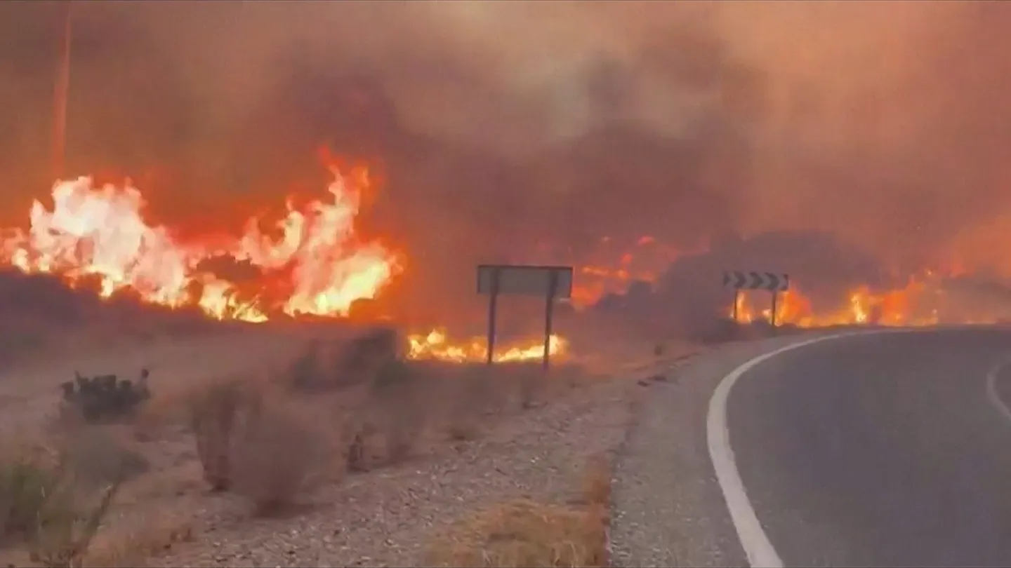 nobody-told-them-the-fire-was-coming-grief-and-anger-after-spains-wildfire-kills-13