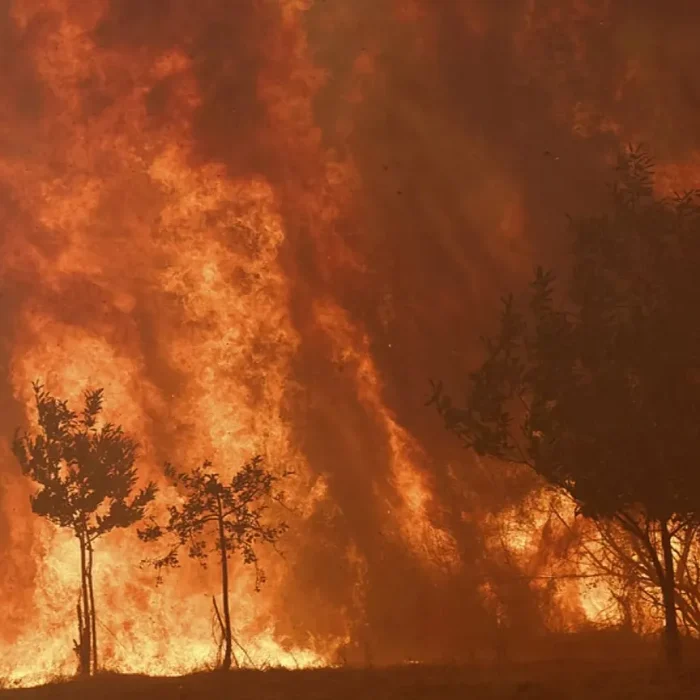 Fire Clouds Explained: The Storm Systems Wildfires Create and Why Europe Is Worried