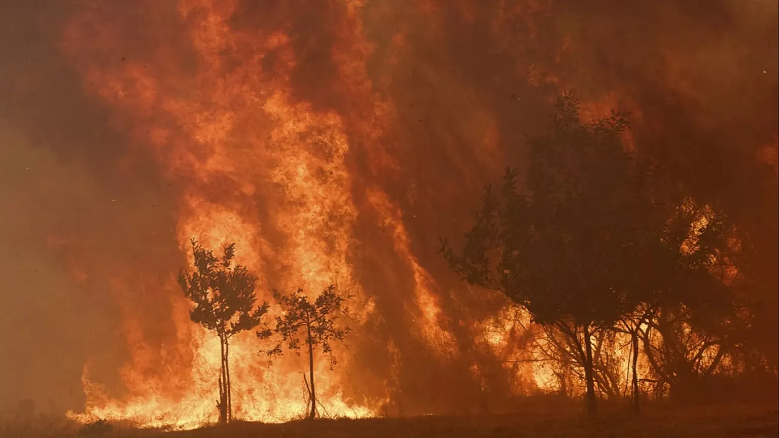 fire-clouds-explained-the-storm-systems-wildfires-create-and-why-europe-is-worried