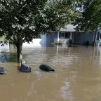 Central Iowa Underwater: More Than a Foot of Rain Swamps the Region as Flooding Forces Evacuations 7 Central Iowa Underwater