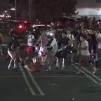 Over 400 Arrested