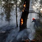 Igniting Devastating France Forest Fire